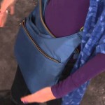 Travelon Purse blue)